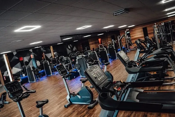 Laufbänder und Ergometer im Cardiobereich des LifeForce Studios Blaufelden